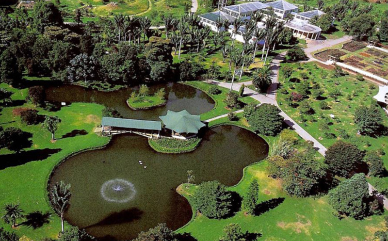 Foto de jardin botanico